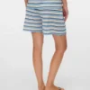 Shorts in Regular-Fit