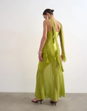 Tsannika Langes Kleid